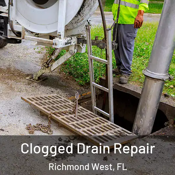  Clogged Drain Repair Richmond West, FL
