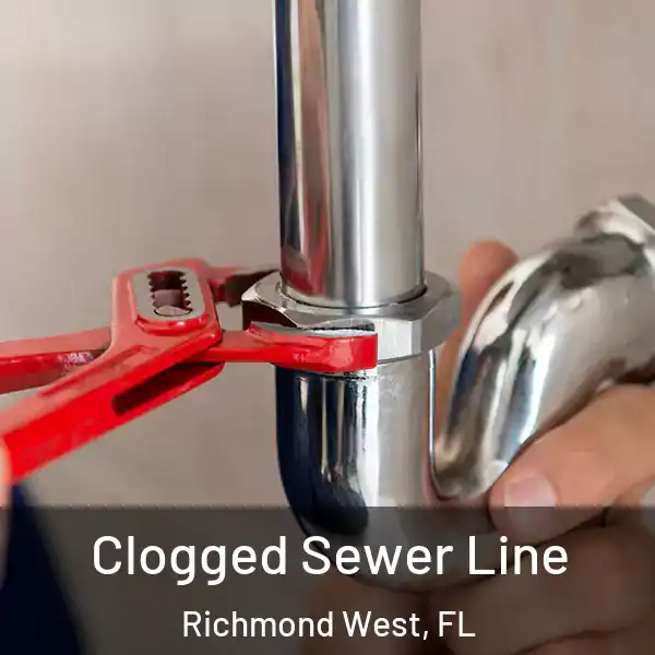 Clogged Sewer Line Richmond West, FL