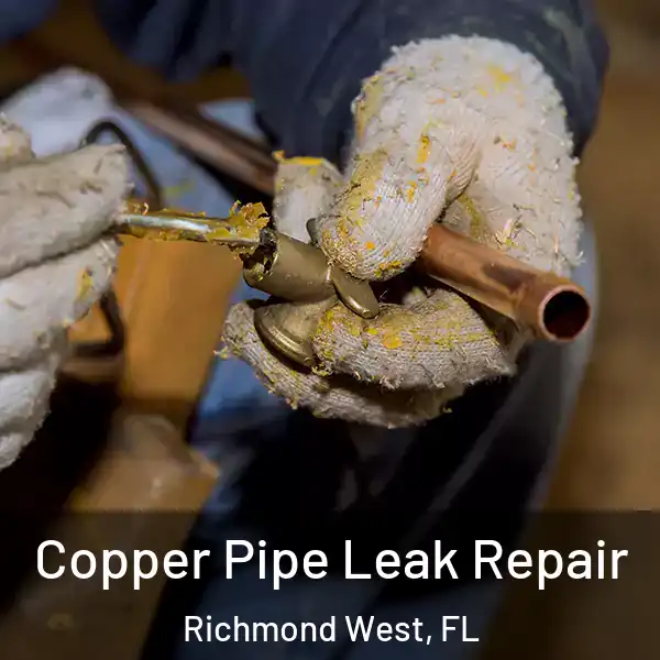  Copper Pipe Leak Repair Richmond West, FL