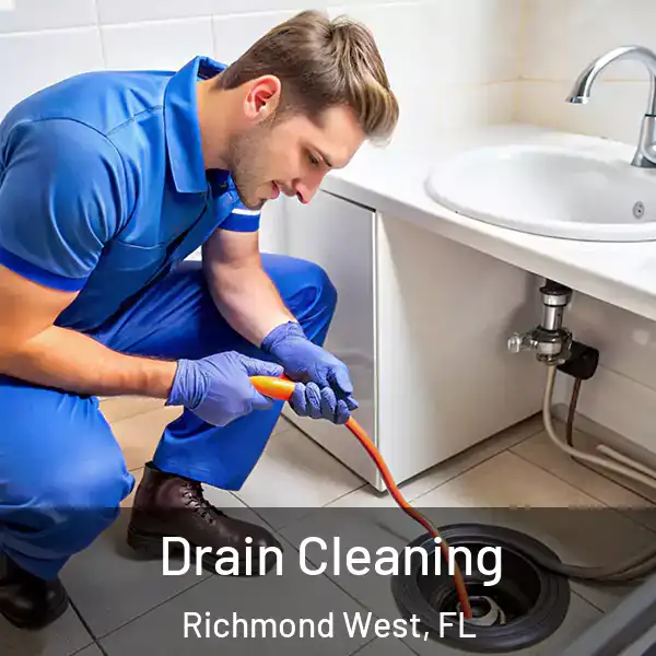  Drain Cleaning Richmond West, FL