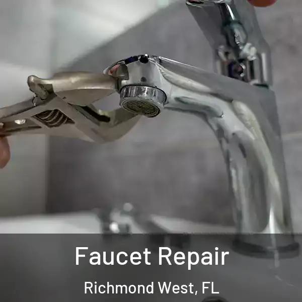  Faucet Repair Richmond West, FL