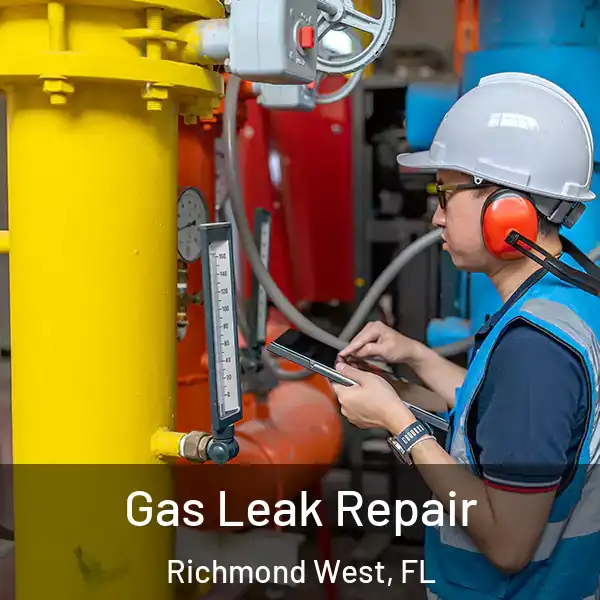  Gas Leak Repair Richmond West, FL