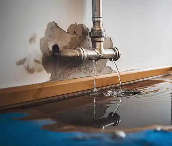 Professional Water Damage Restoration Experts in Richmond West, FL — Fast, Reliable & Certified