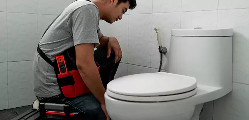 Toilet Repair in Richmond West