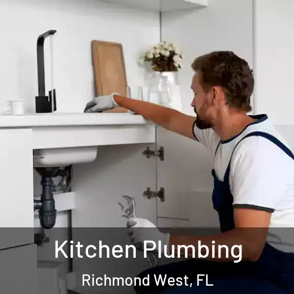  Kitchen Plumbing Richmond West, FL