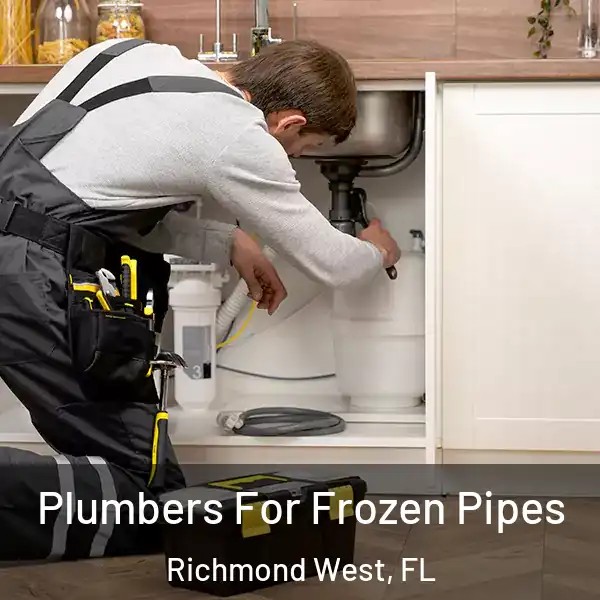  Plumbers For Frozen Pipes Richmond West, FL