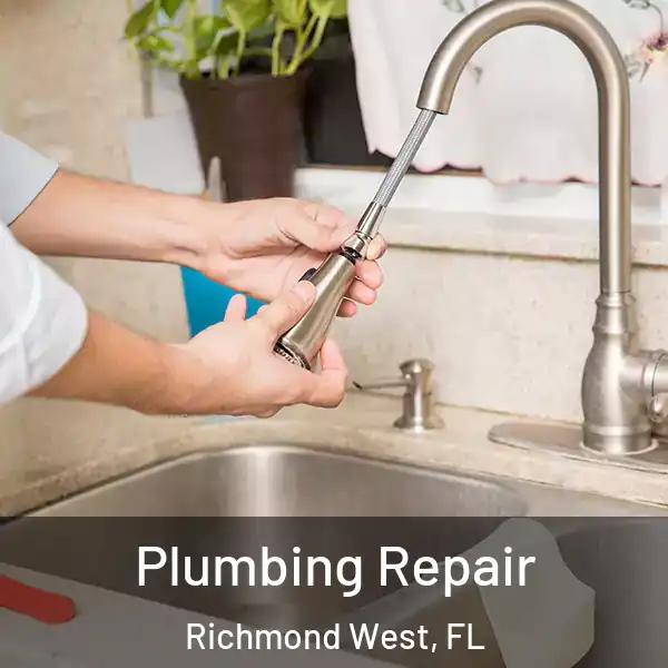  Plumbing Repair Richmond West, FL