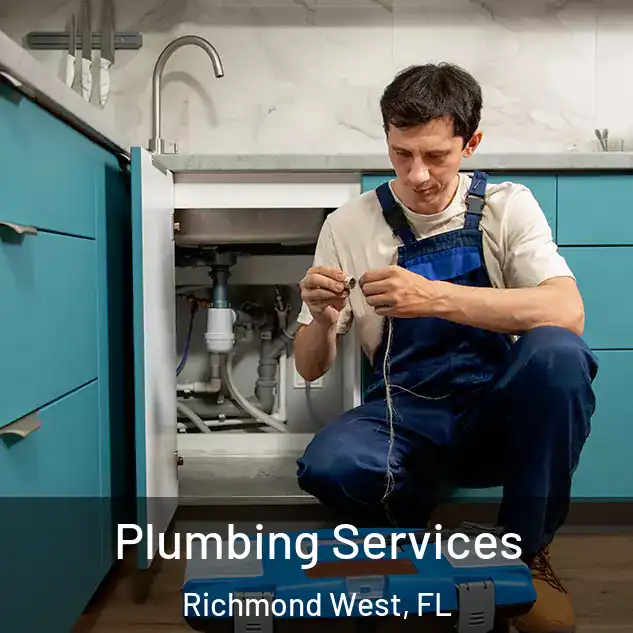  Plumbing Services Richmond West, FL