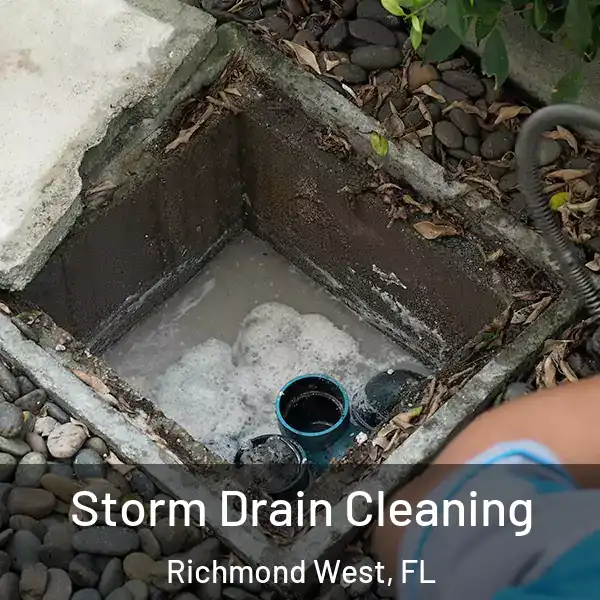  Storm Drain Cleaning Richmond West, FL