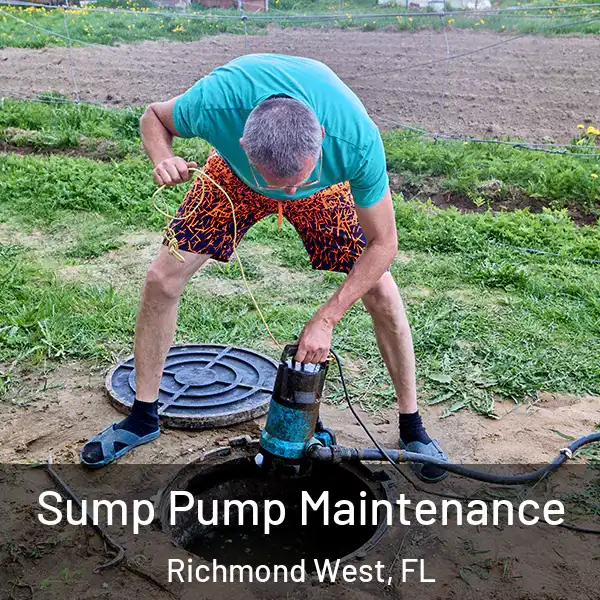  Sump Pump Maintenance Richmond West, FL