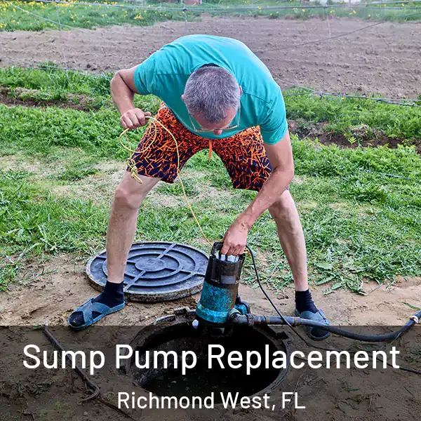  Sump Pump Replacement Richmond West, FL