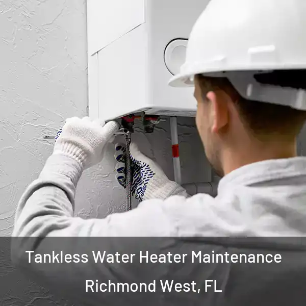  Tankless Water Heater Maintenance Richmond West, FL