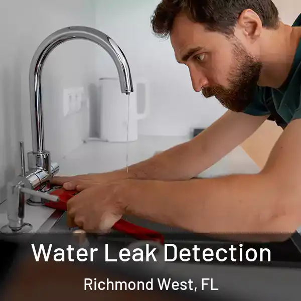 Water Leak Detection Richmond West, FL