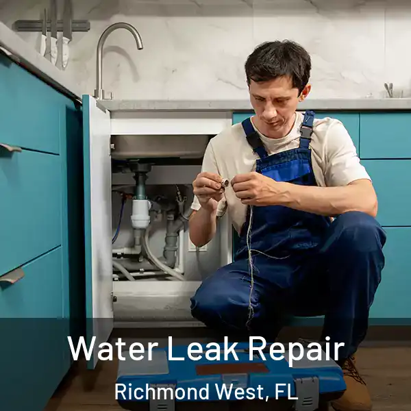  Water Leak Repair Richmond West, FL